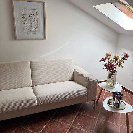 Apartment Damjan 科托尔 外观 照片
