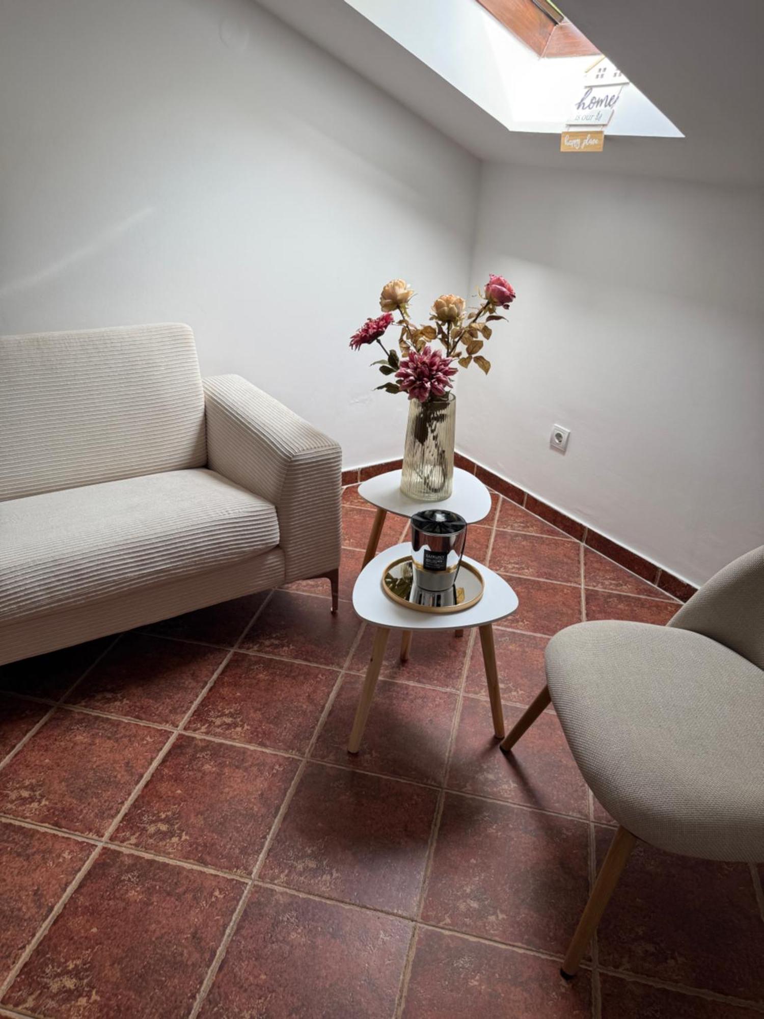 Apartment Damjan 科托尔 外观 照片