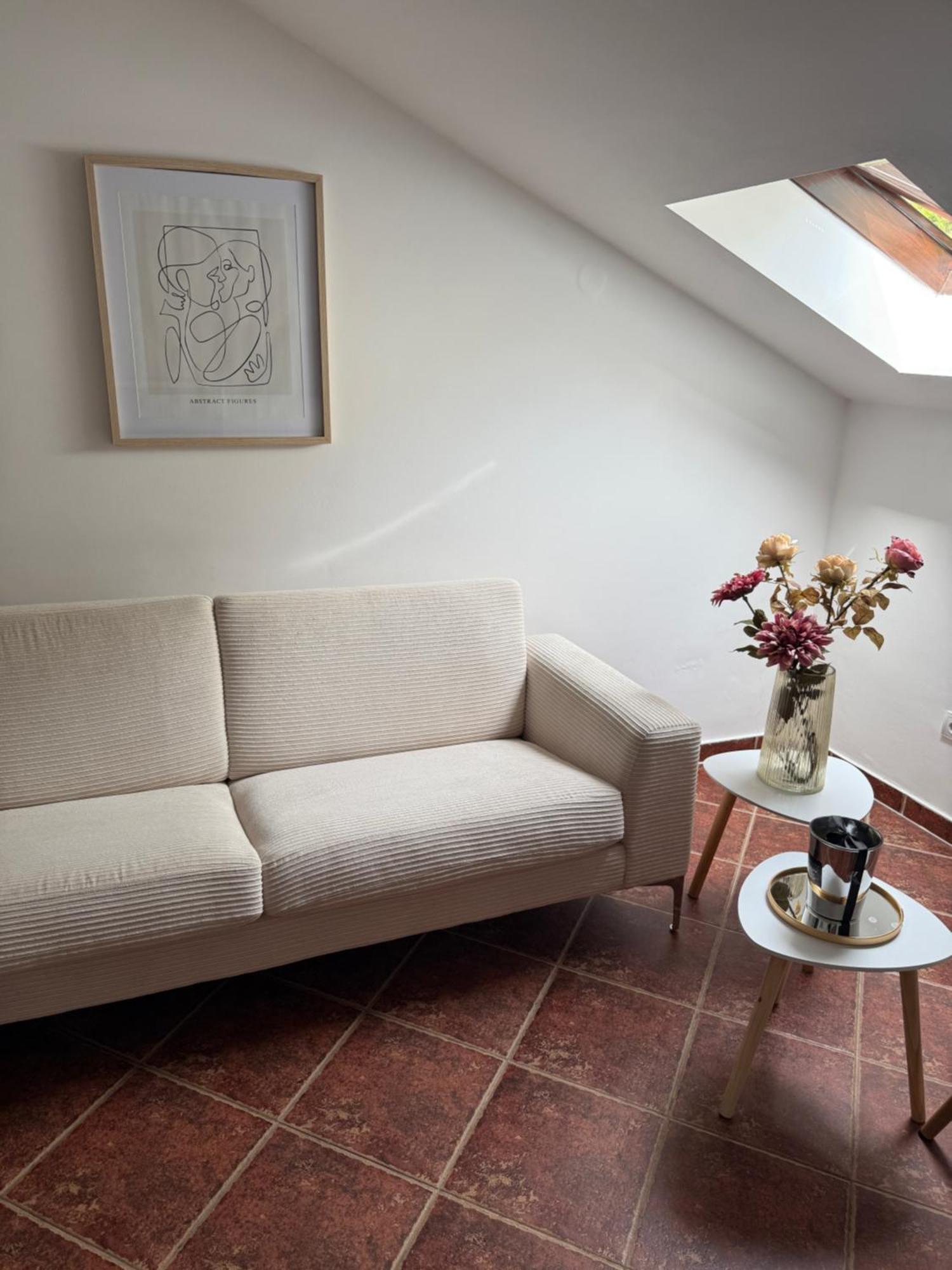 Apartment Damjan 科托尔 外观 照片