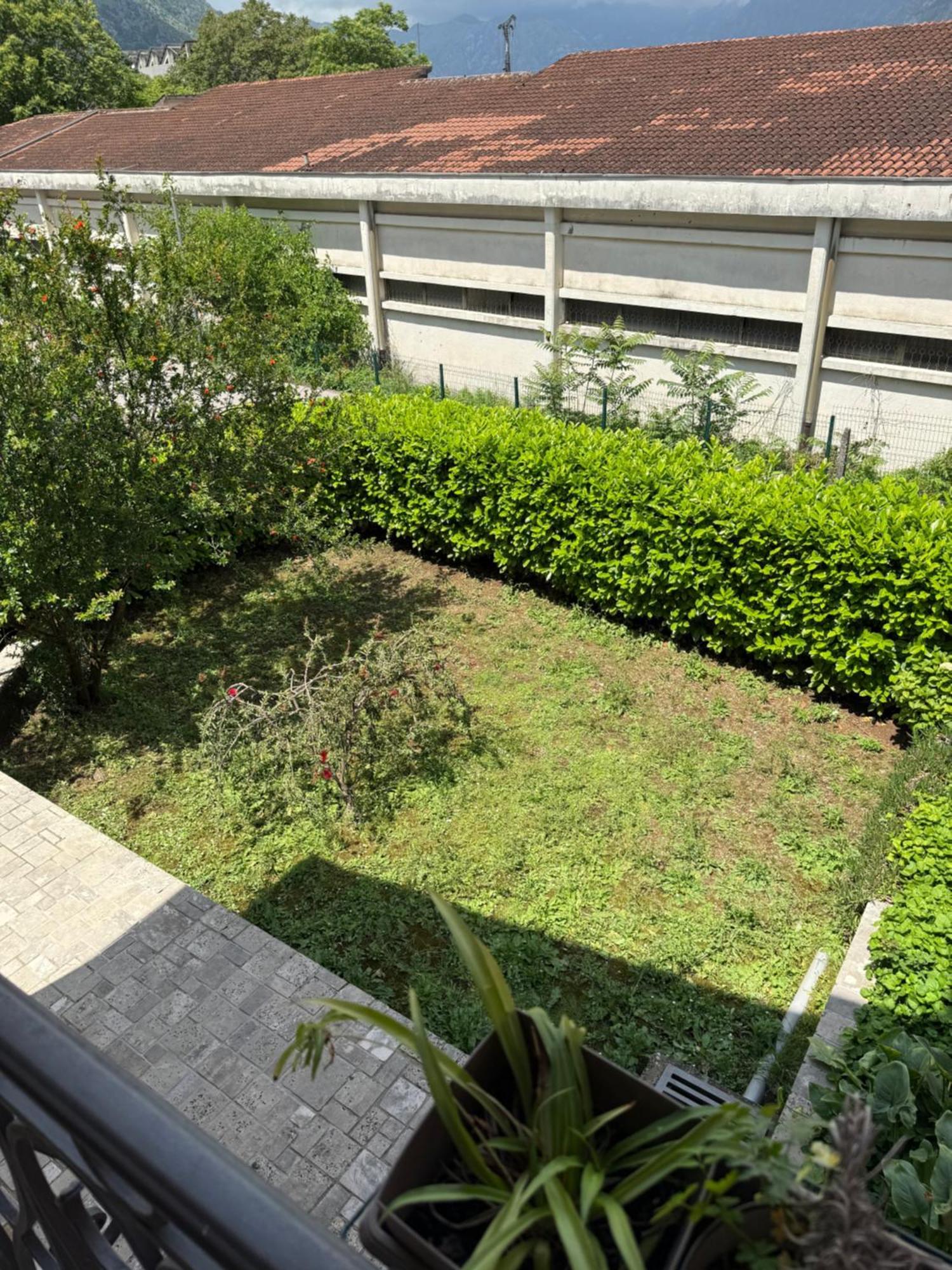 Apartment Damjan 科托尔 外观 照片